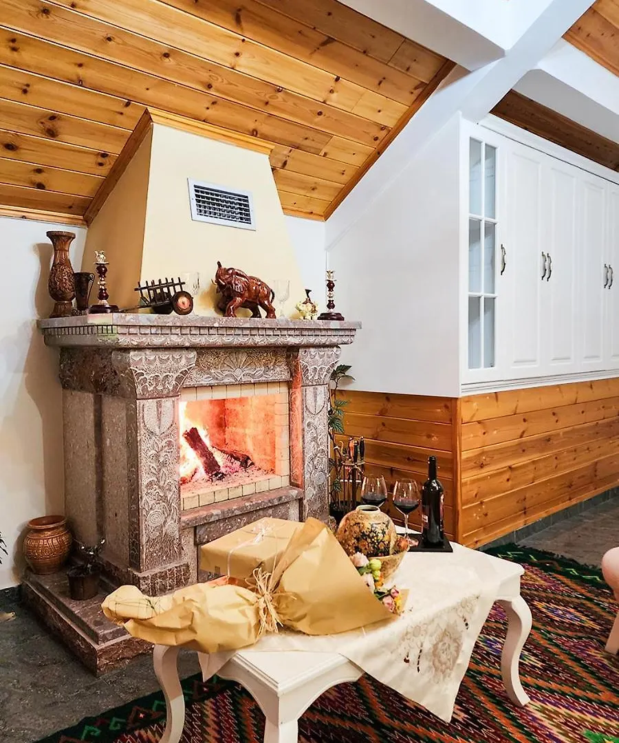 Villa Parku Rinia Korce